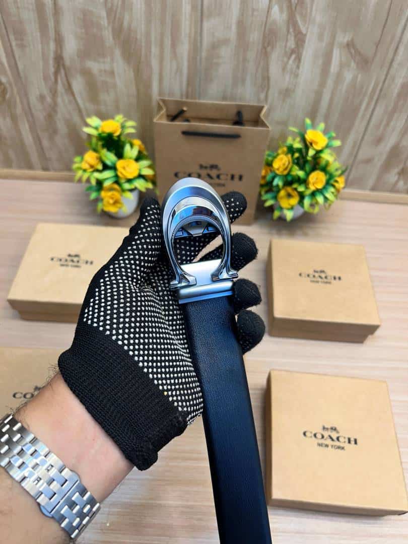 COACH_BELT_C182