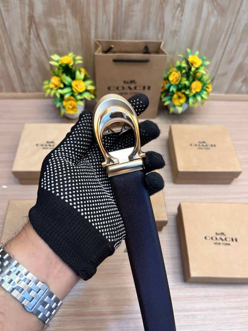 COACH_BELT_C181