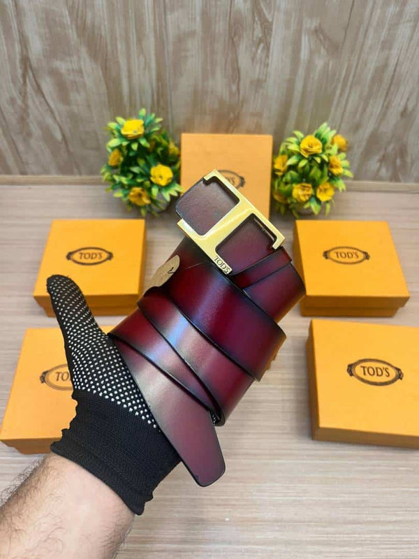 TODS_BELT_TD1