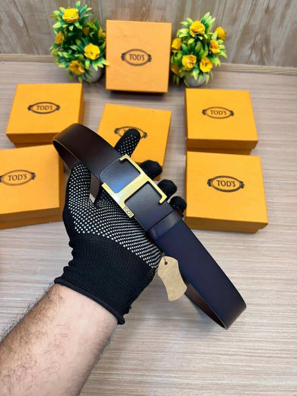 TODS_BELT_TD2