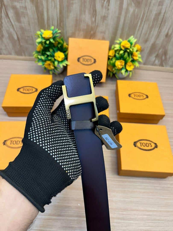 TODS_BELT_TD2