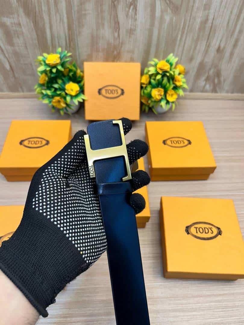 TODS_BELT_TD3