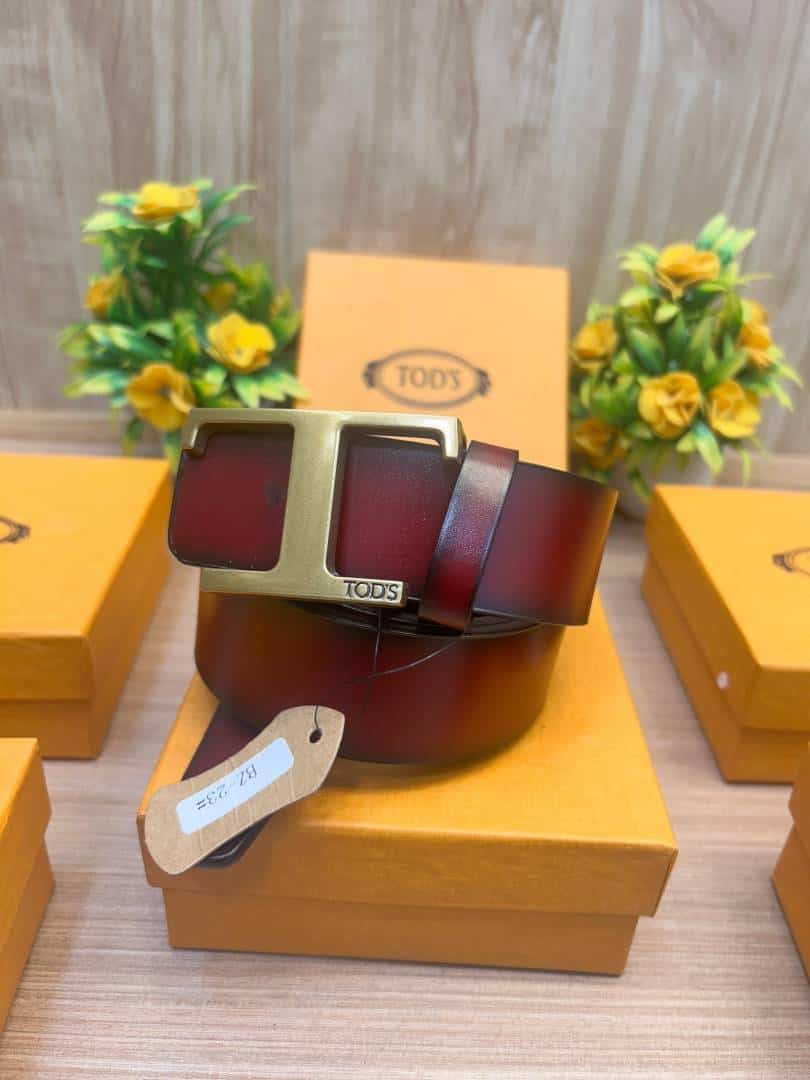 TODS_BELT_TD1