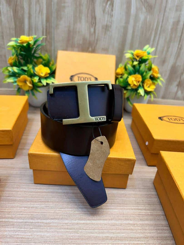 TODS_BELT_TD2