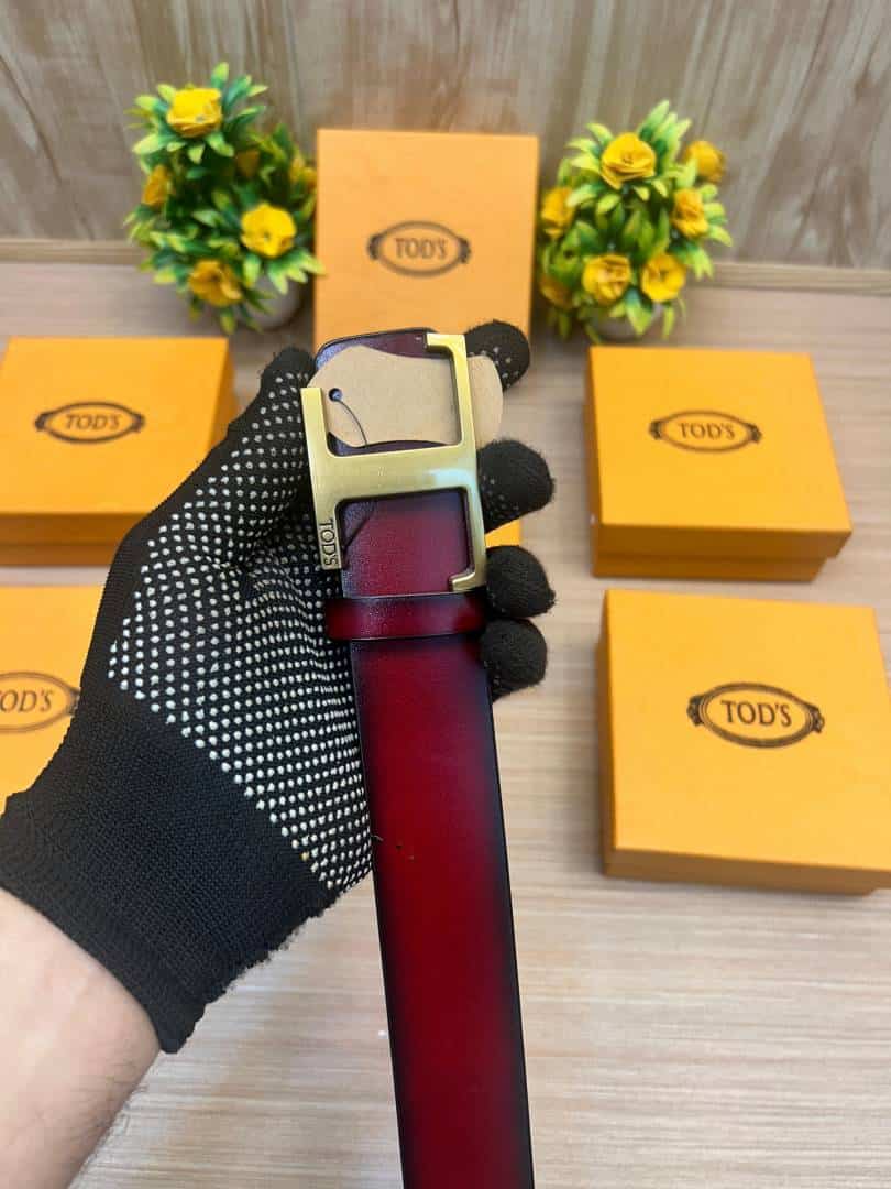 TODS_BELT_TD1
