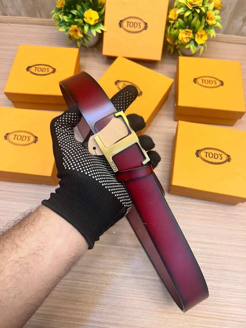 TODS_BELT_TD1