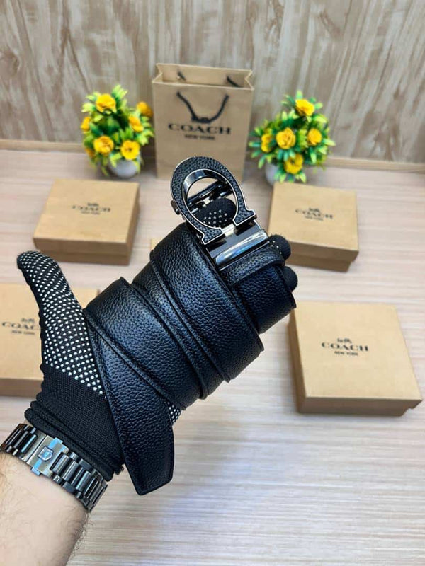 COACH_BELT_C178