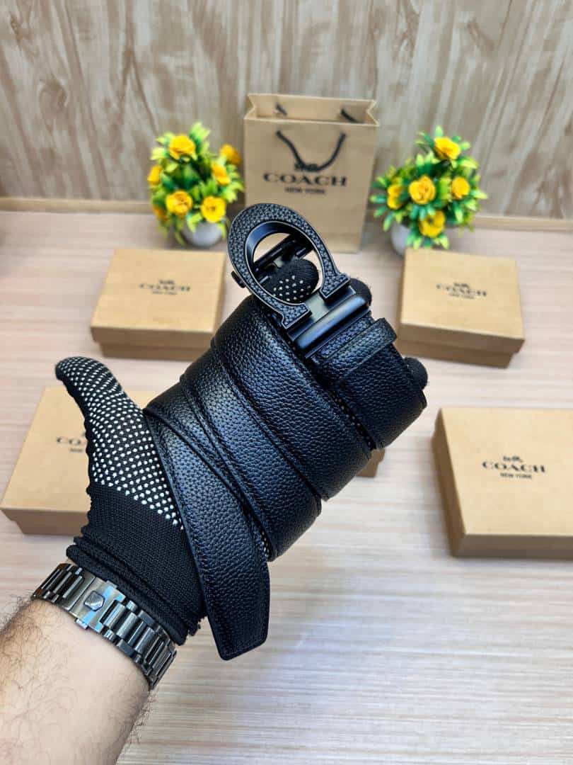 COACH_BELT_C179