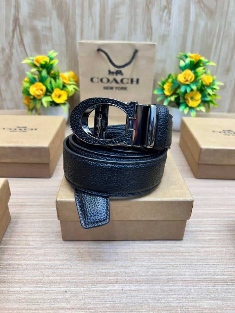 COACH_BELT_C178