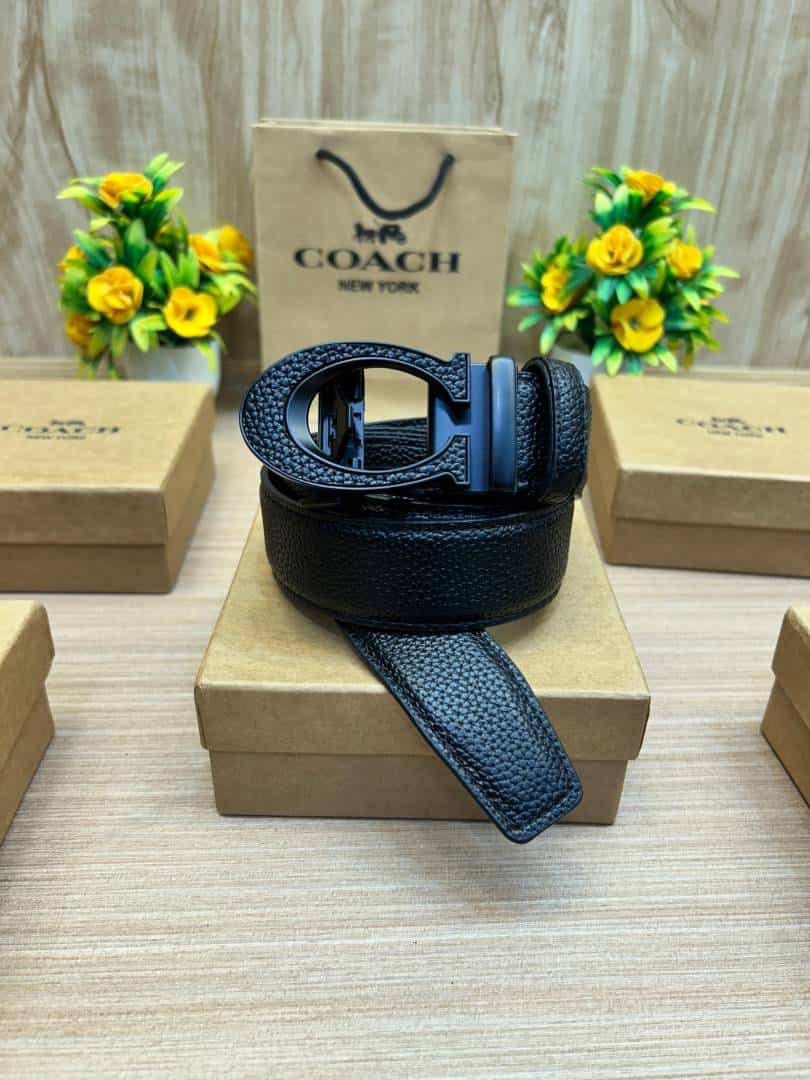 COACH_BELT_C179