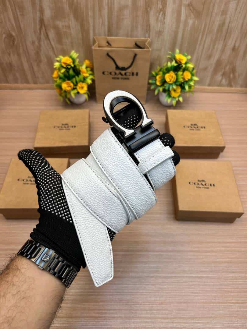 COACH_BELT_C176