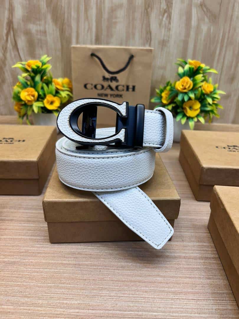 COACH_BELT_C176