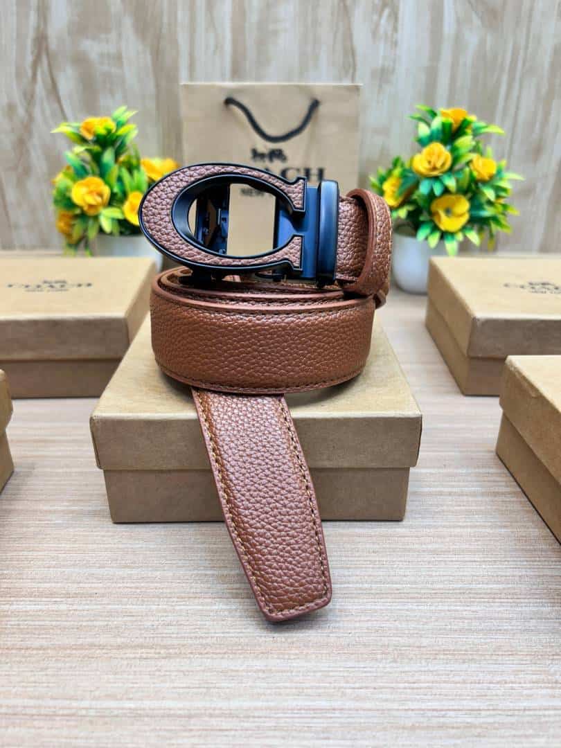 COACH_BELT_C175