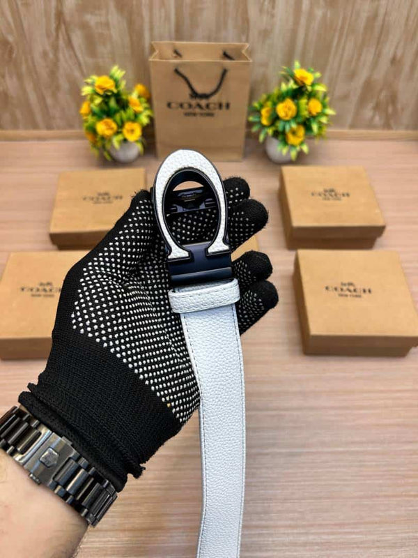 COACH_BELT_C176