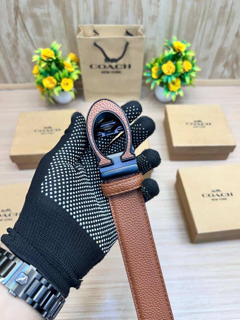 COACH_BELT_C175