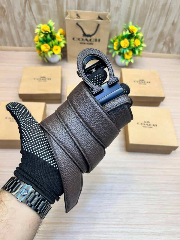 COACH_BELT_C173