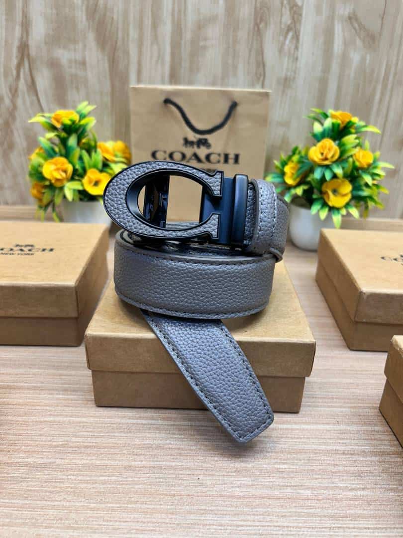 COACH_BELT_C174
