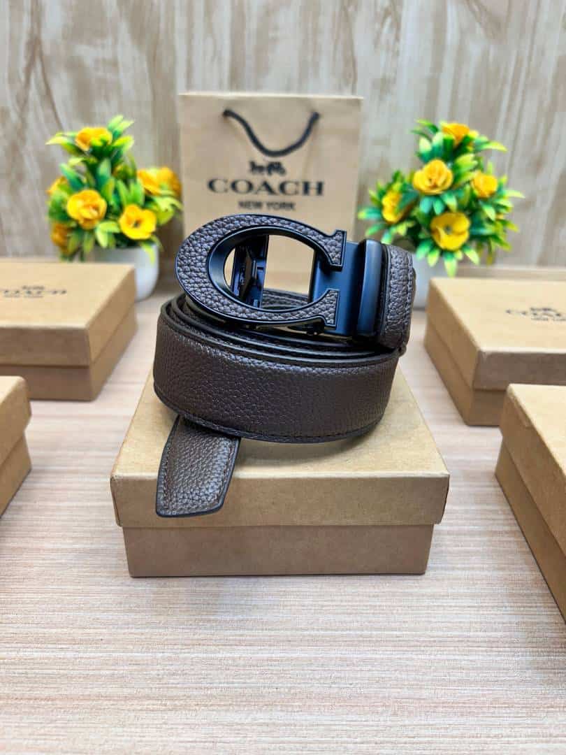 COACH_BELT_C173