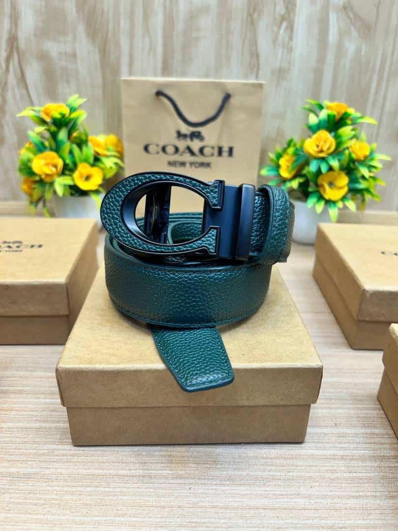 COACH_BELT_C172
