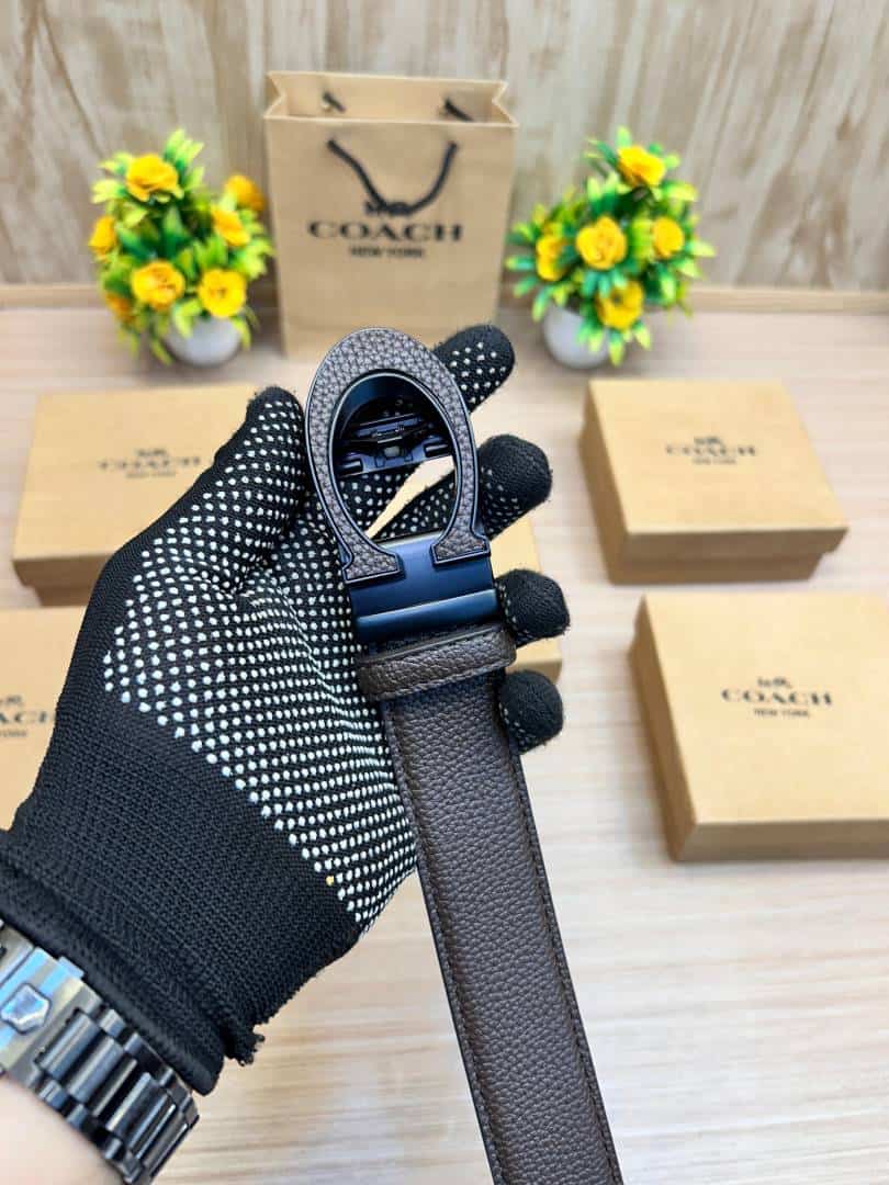 COACH_BELT_C173