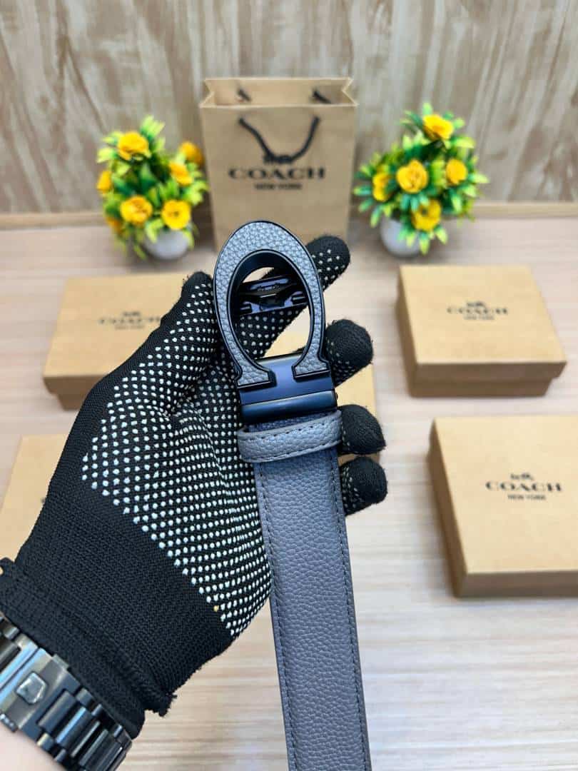 COACH_BELT_C174