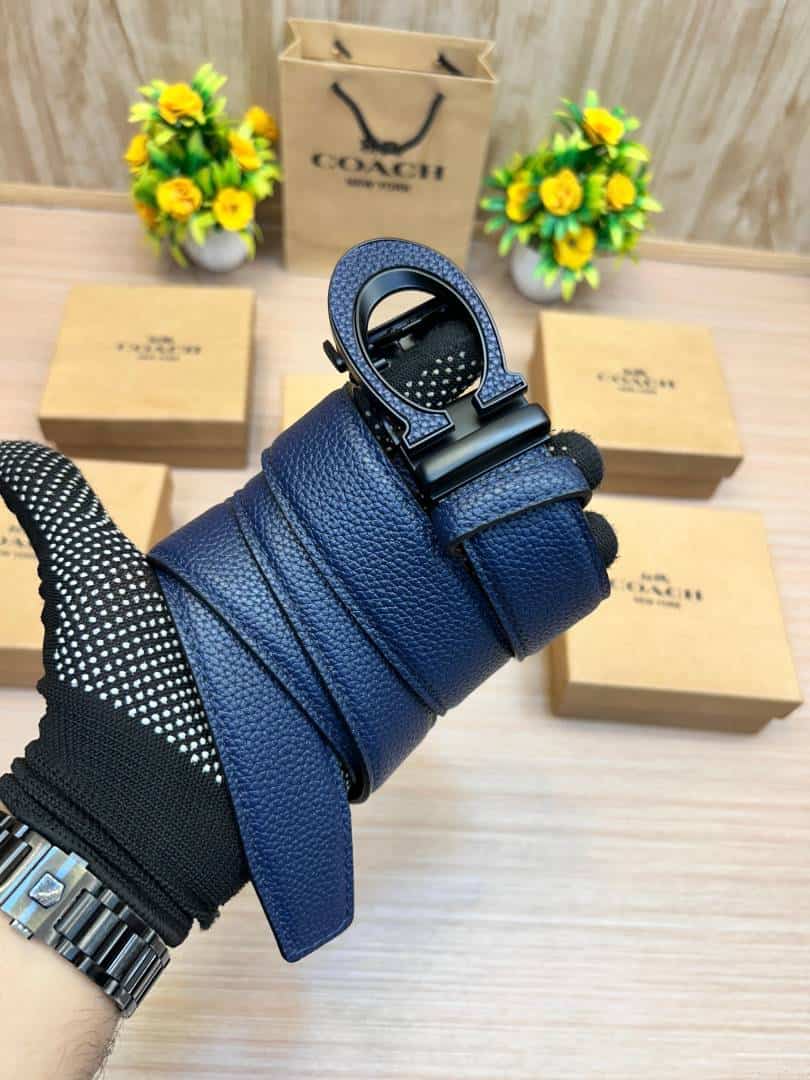 COACH_BELT_C171
