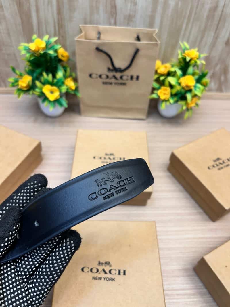 COACH_BELT_C170