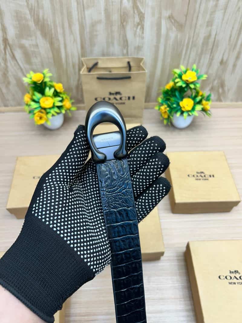 COACH_BELT_C166