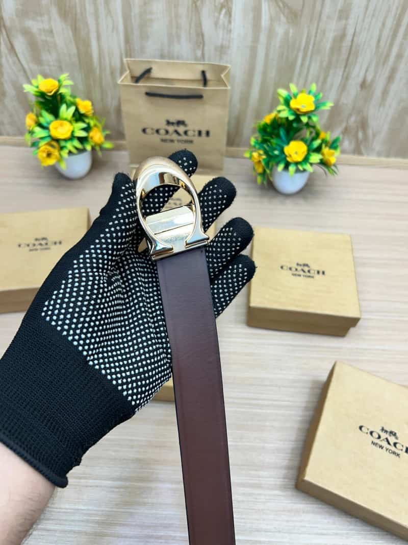 COACH_BELT_C164