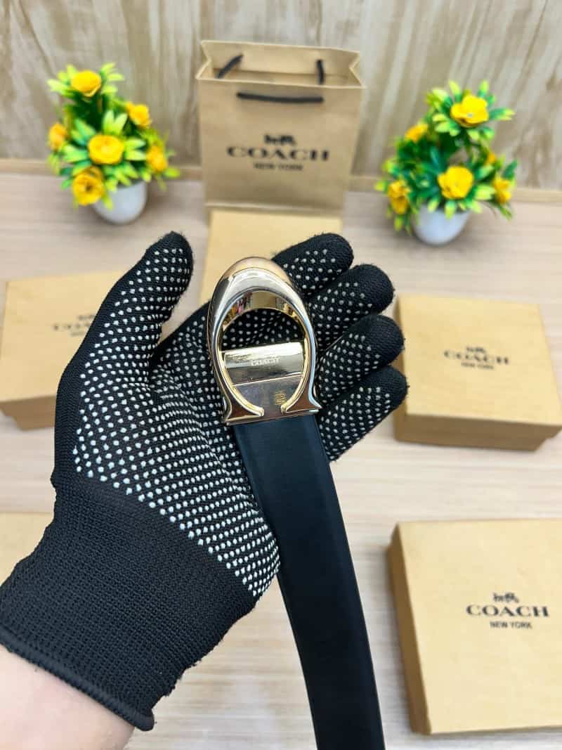 COACH_BELT_C164