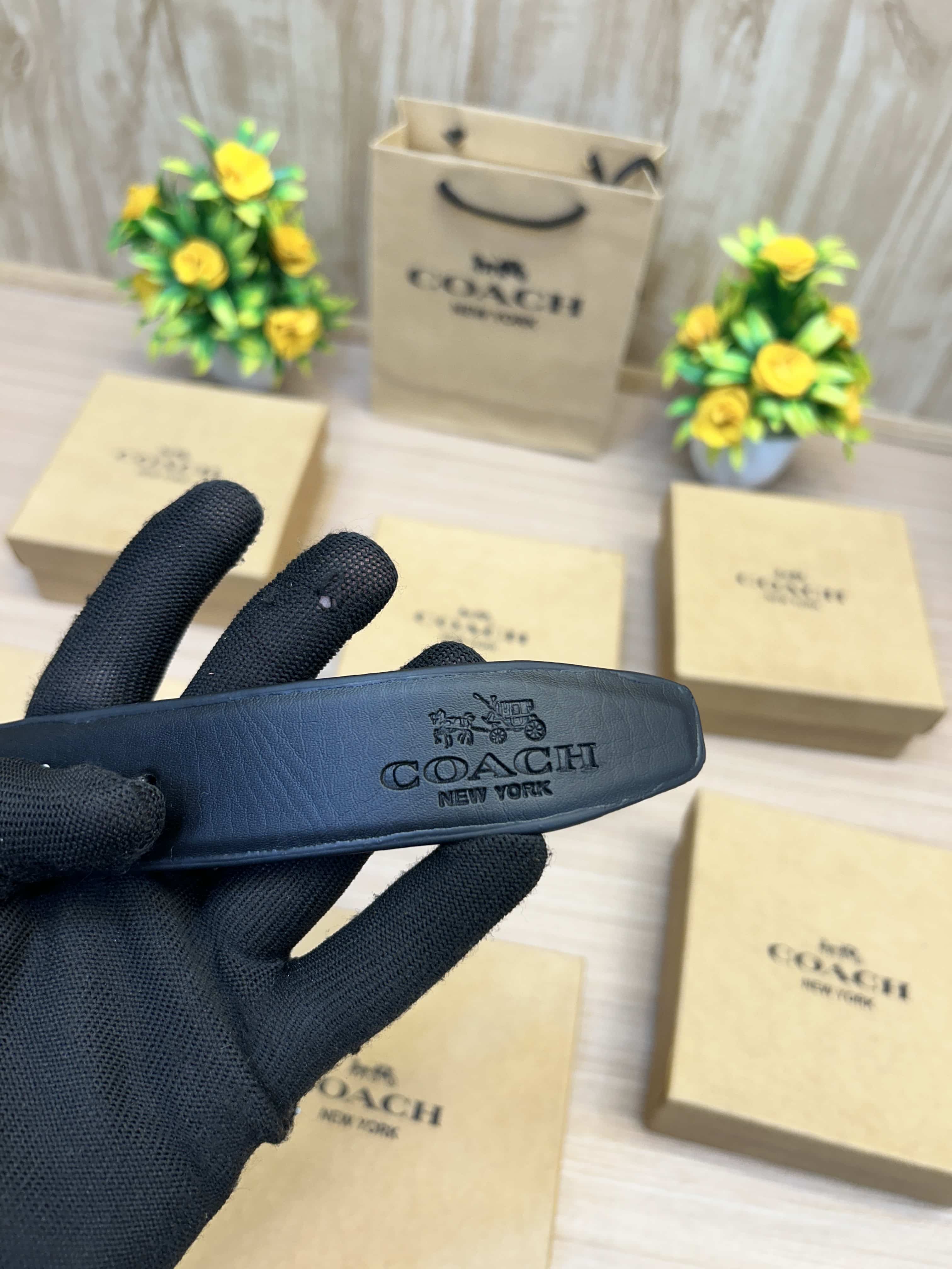 COACH_BELT_C159