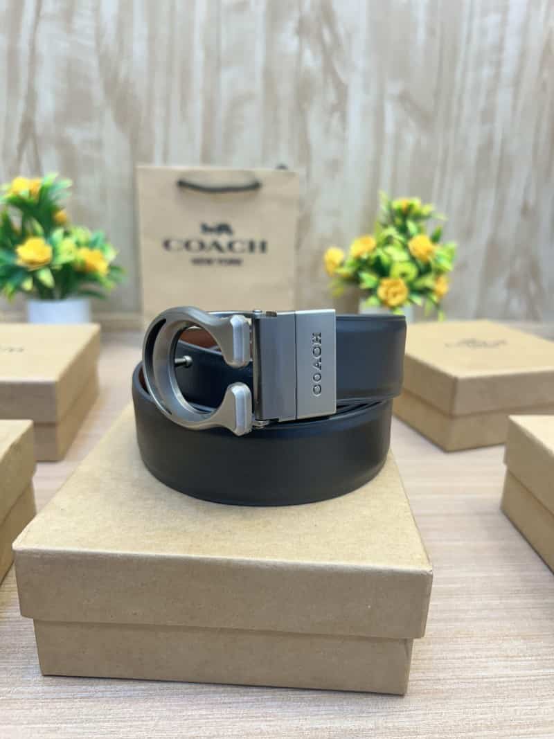 COACH_BELT_C156