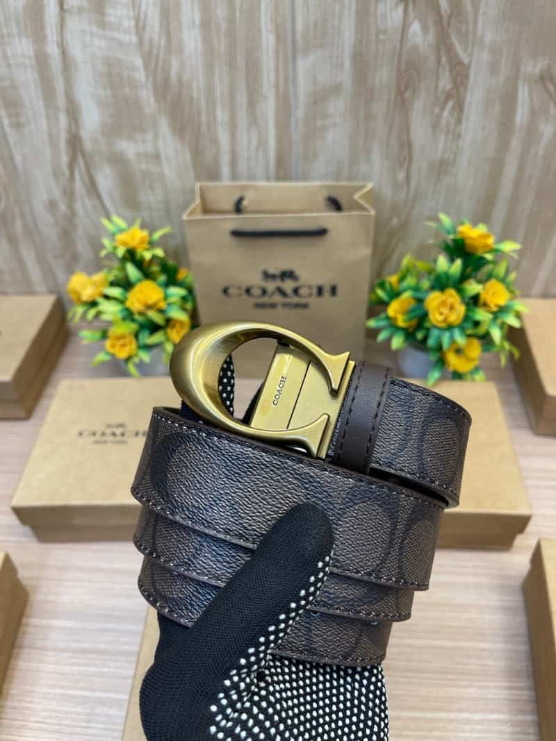 COACH_BELT_C151