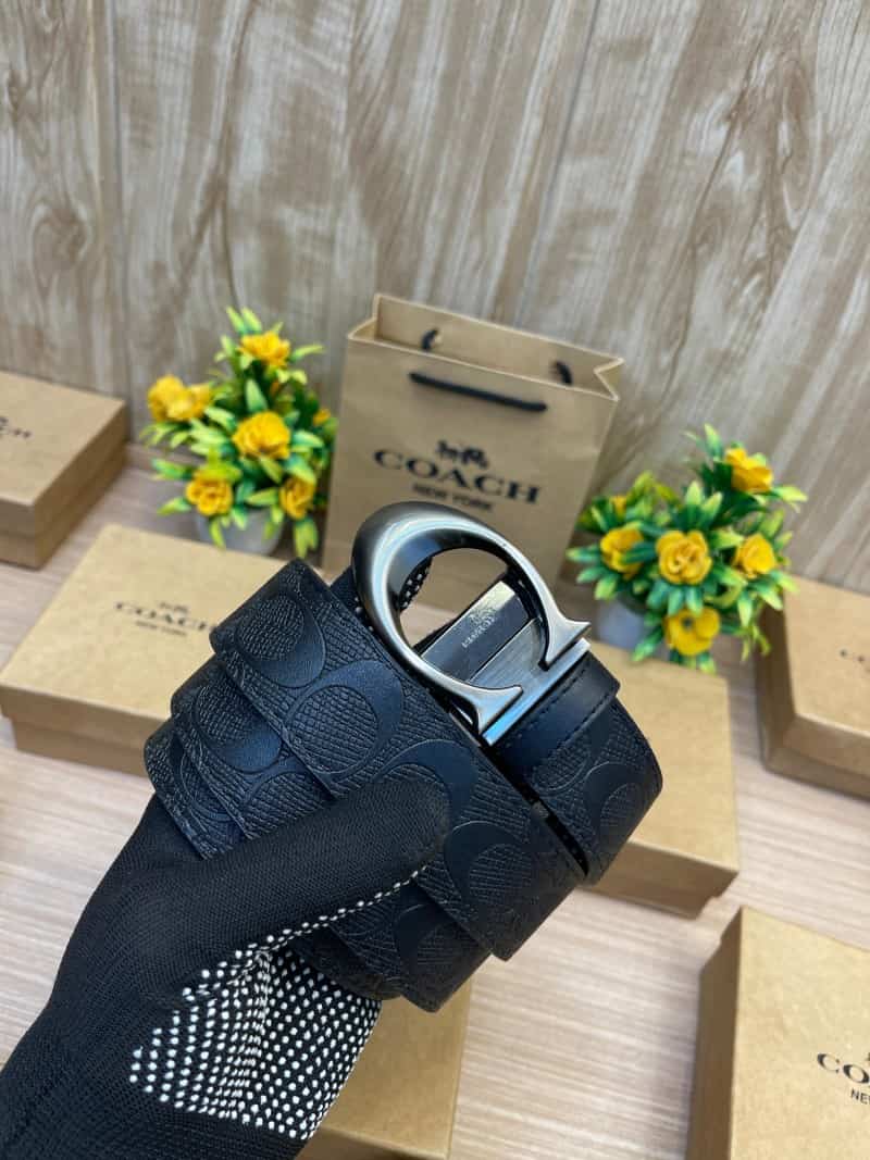 COACH_BELT_C149