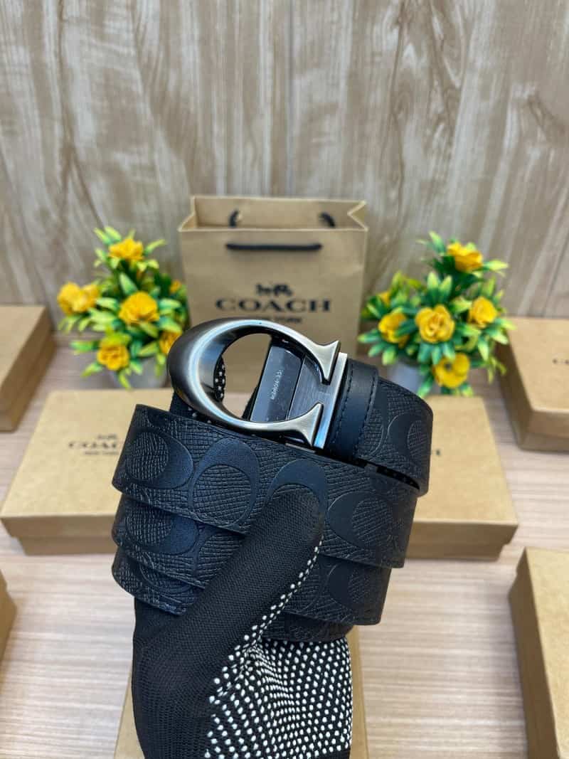 COACH_BELT_C149