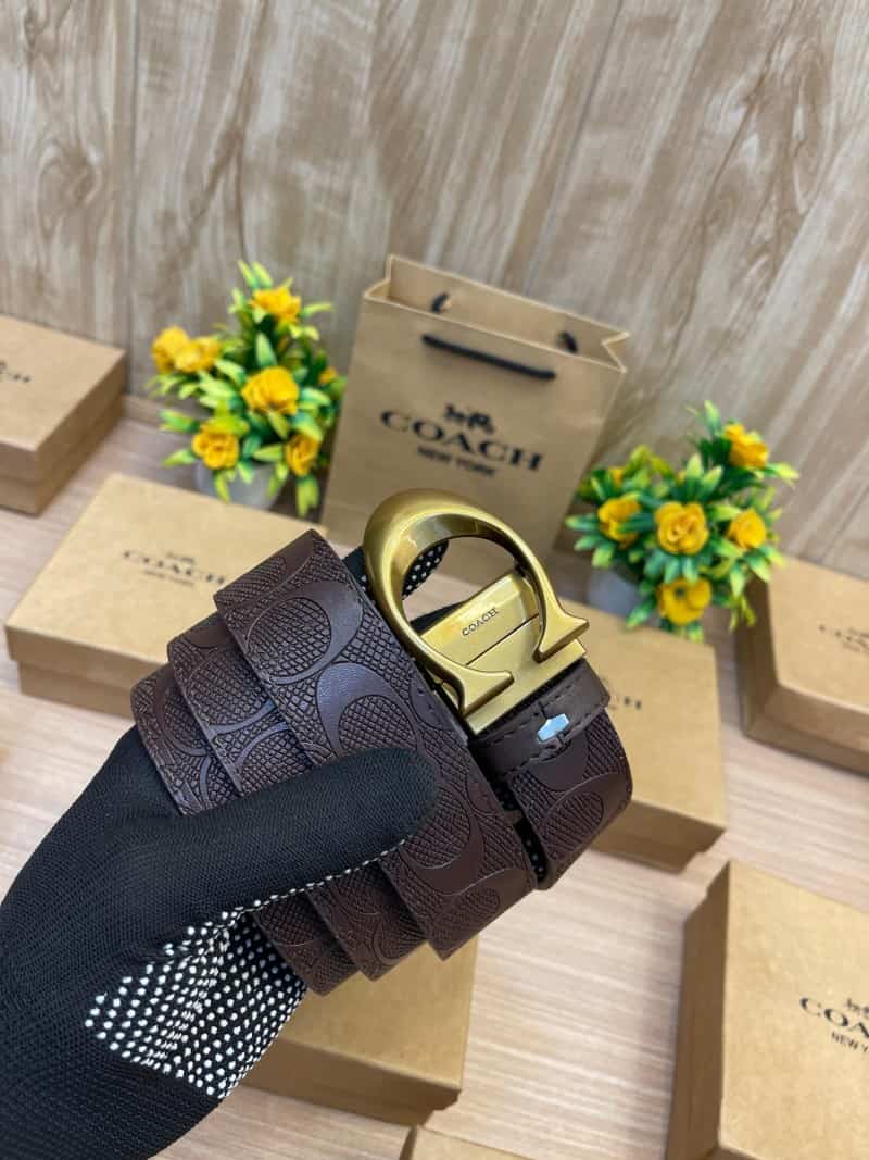 COACH_BELT_C151
