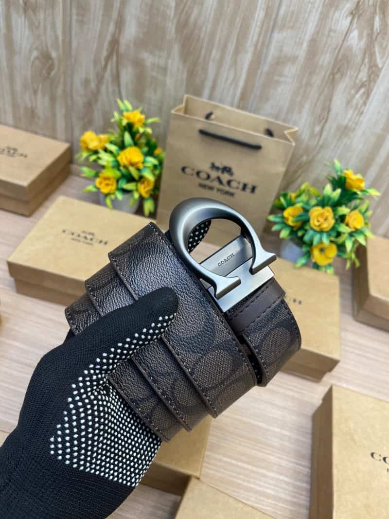 COACH_BELT_C146