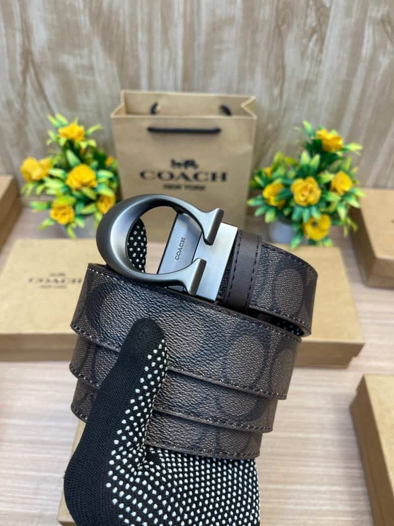 COACH_BELT_C146