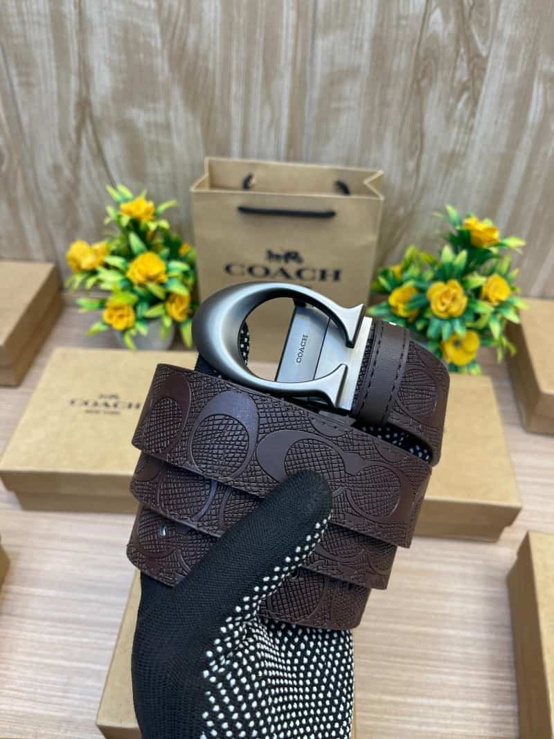 COACH_BELT_C146