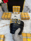 BURBERRY_BELT_B120