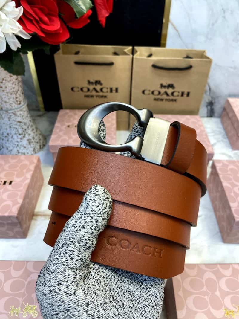 COACH_BELT_C116