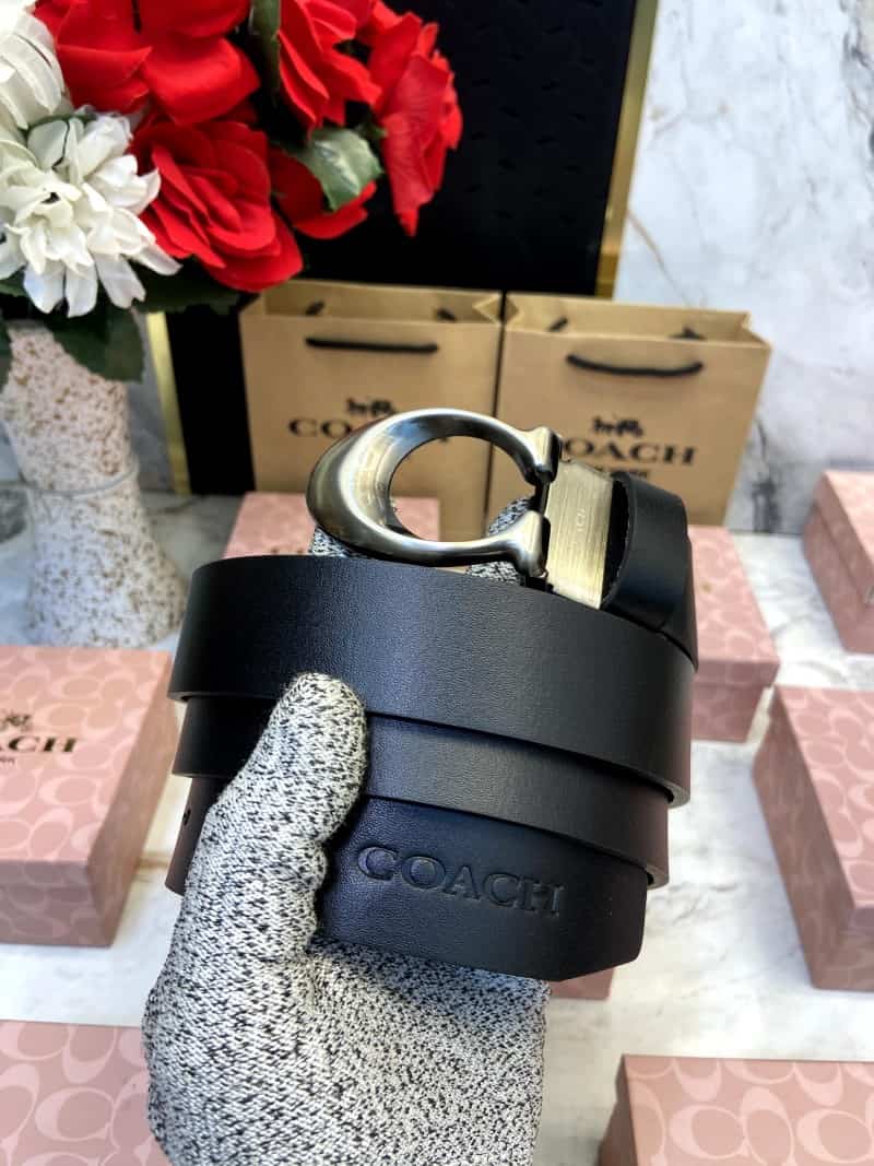 COACH_BELT_C114