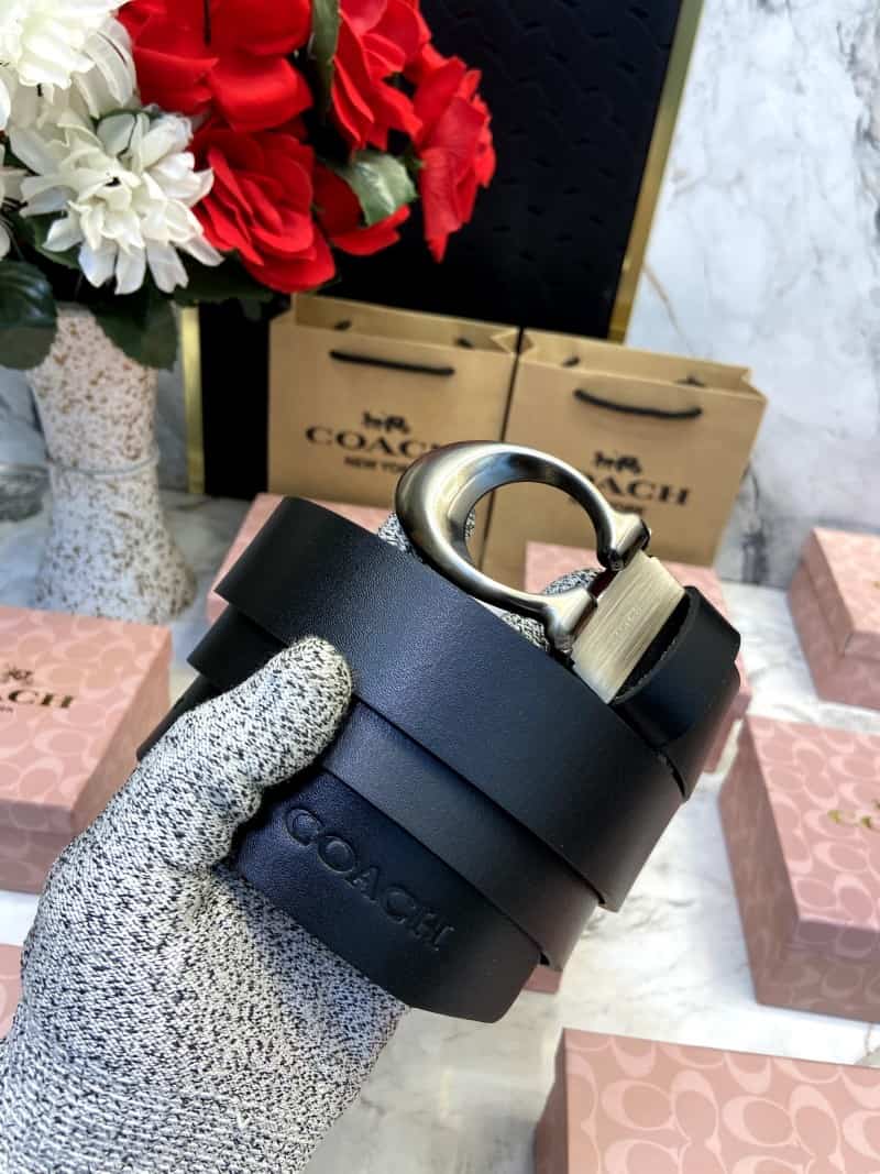 COACH_BELT_C114