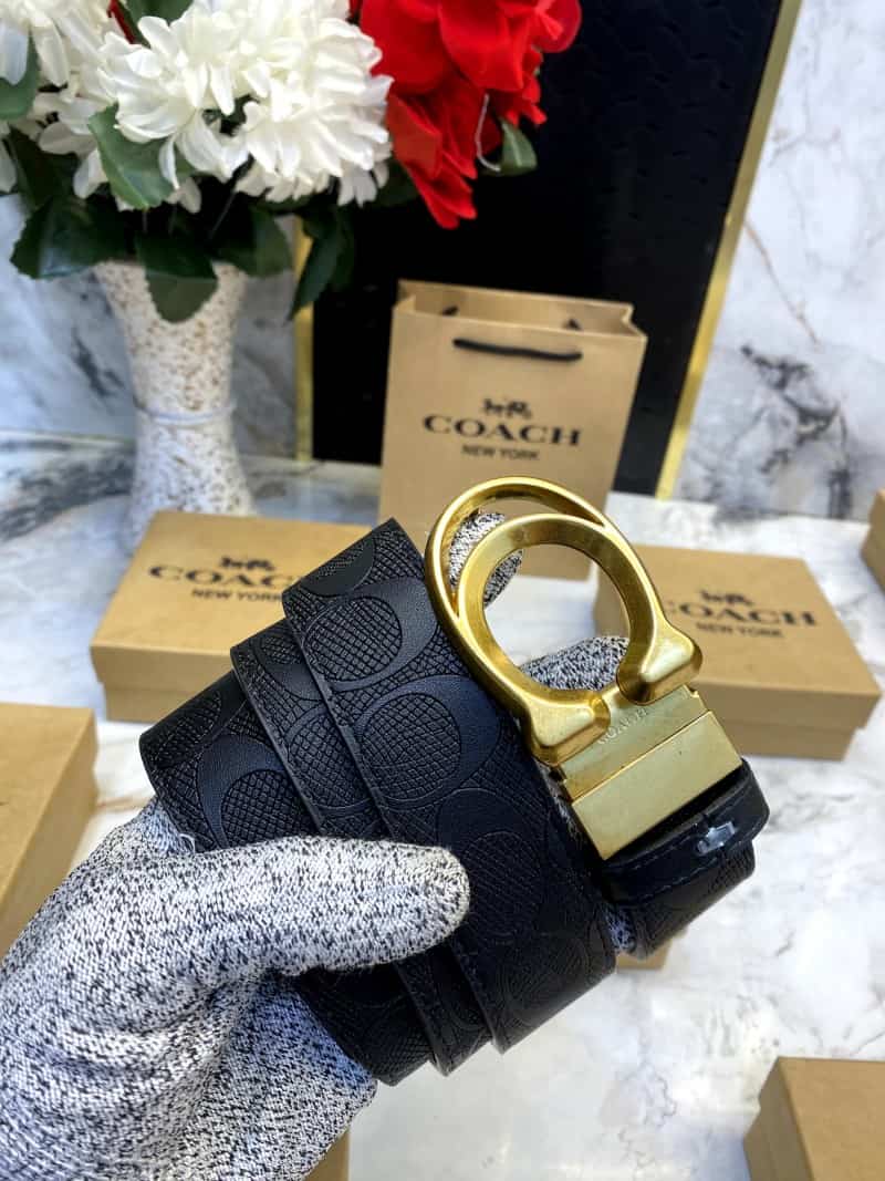 COACH_BELT_C104