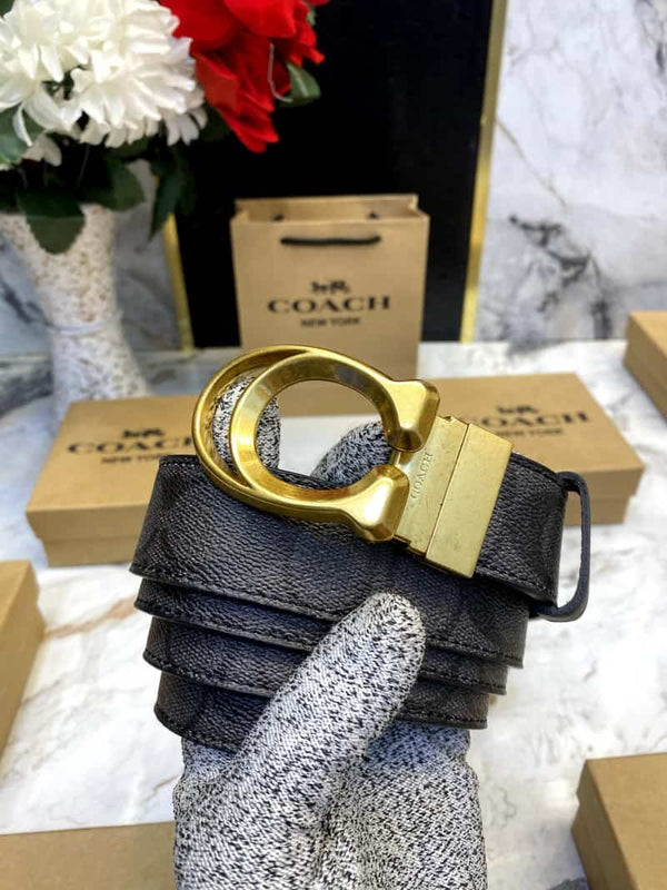 COACH_BELT_C104
