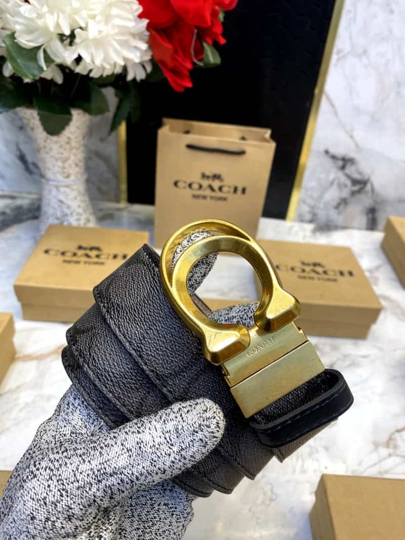 COACH_BELT_C103