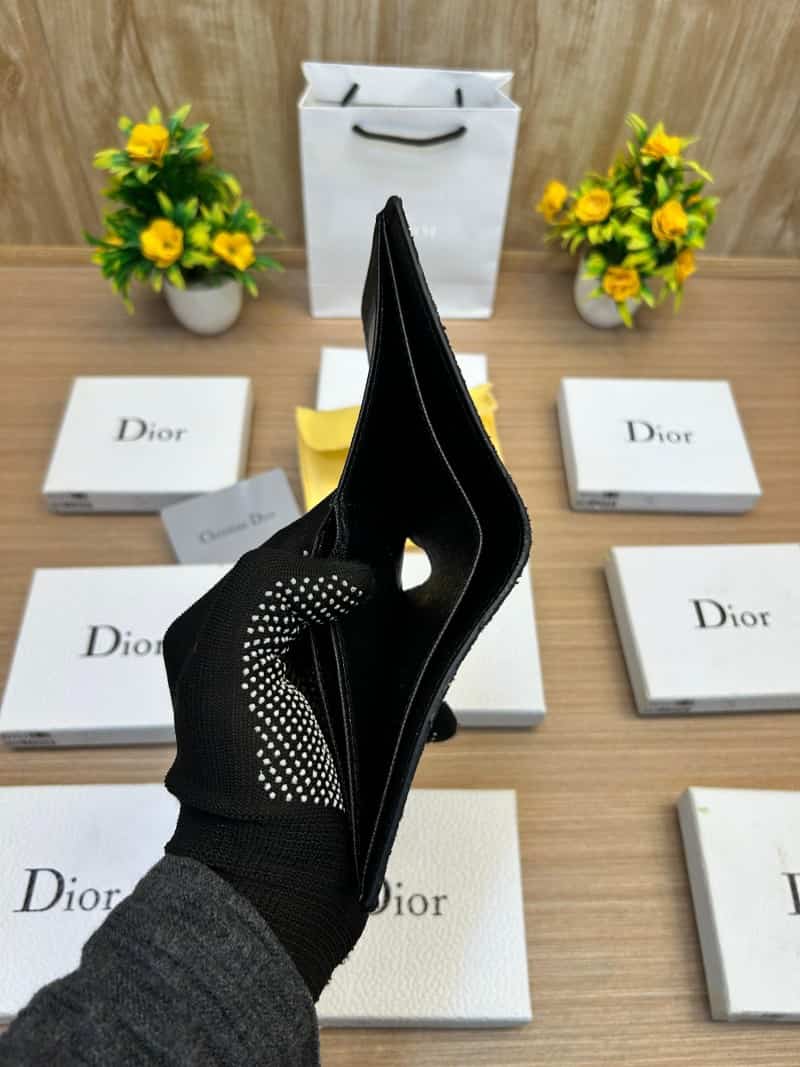 DIOR_WALLET_V654