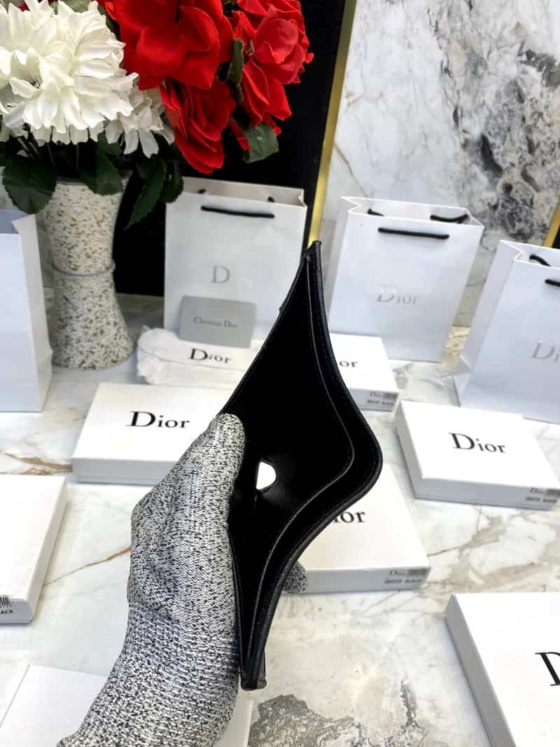 DIOR_WALLET_V561