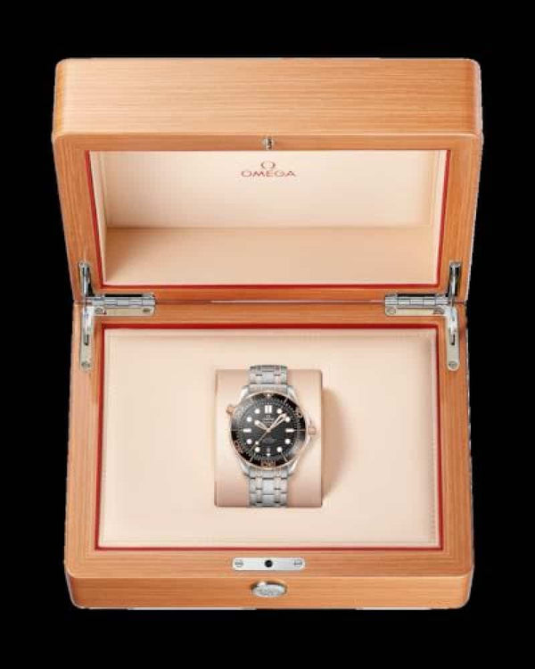 OmE9A Seamaster DIVER 300M CO A..XIAL