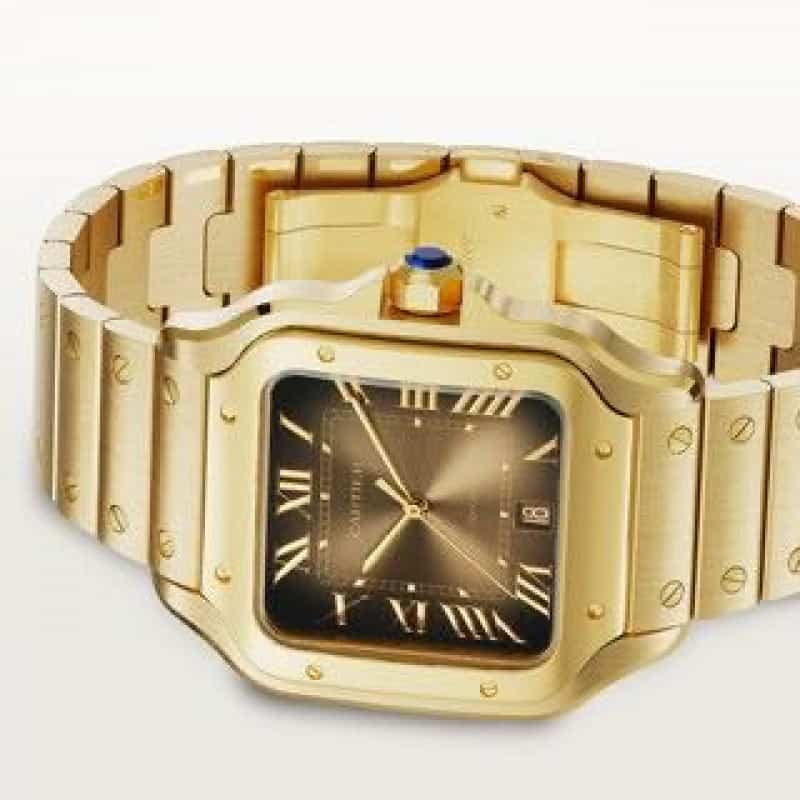 Cartier D Santos Gold Brown Automat